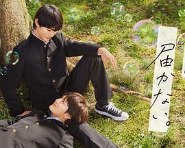 栖霞区网站推广优化服务